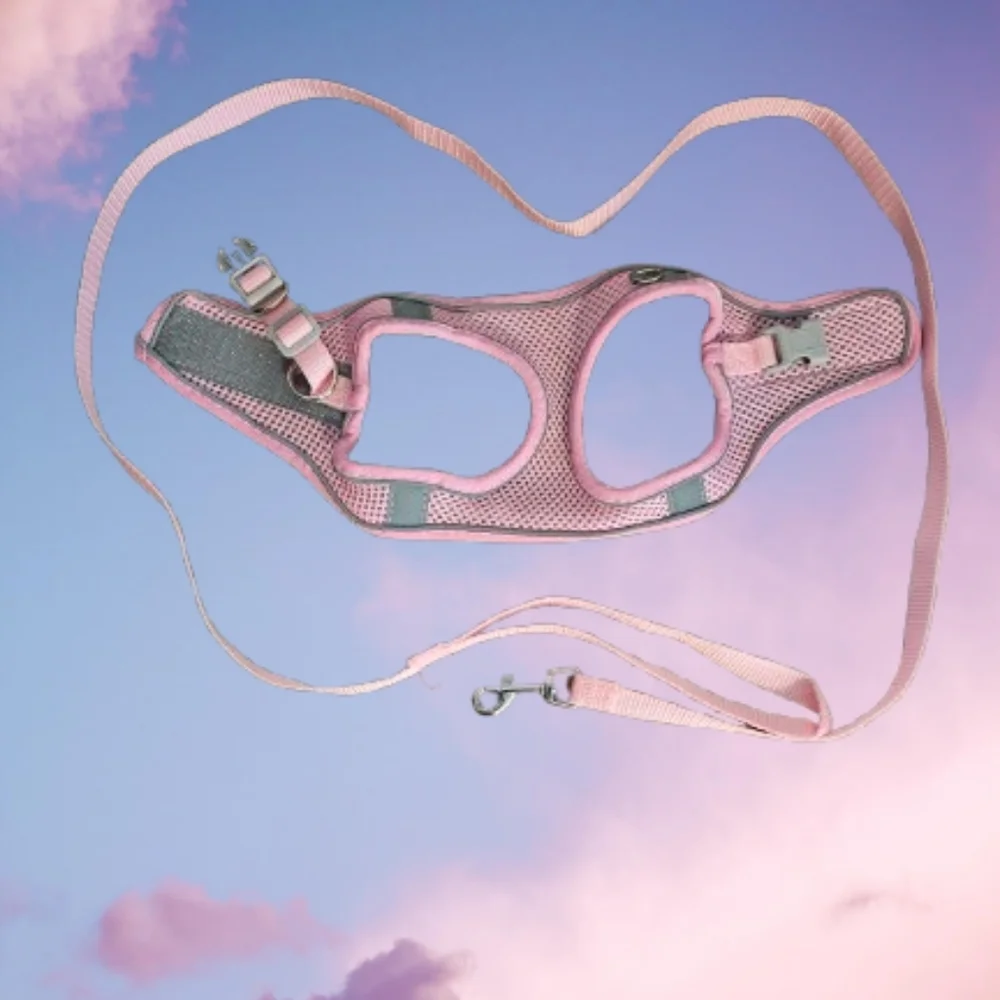 📣 Solmoony Dog Harness XS 🆕 Without Tags No Pull Puppy Harness Leash Pink 🐕‍